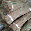 Coconut Broom Stick Exporters, Wholesaler & Manufacturer | Globaltradeplaza.com