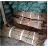 Eco Broom Stick For Cleaning Exporters, Wholesaler & Manufacturer | Globaltradeplaza.com