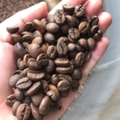 Roasted Coffee Bean Exporters, Wholesaler & Manufacturer | Globaltradeplaza.com