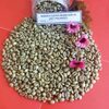 Vietnam Robusta Coffee Bean Exporters, Wholesaler & Manufacturer | Globaltradeplaza.com