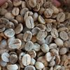Arabica Green Coffee Beans Exporters, Wholesaler & Manufacturer | Globaltradeplaza.com