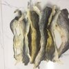 Dried Fish Skin Exporters, Wholesaler & Manufacturer | Globaltradeplaza.com