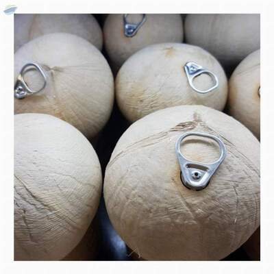 Fresh Young Coconut Exporters, Wholesaler & Manufacturer | Globaltradeplaza.com