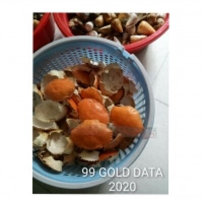 Wholesale Dried Crab Shell Exporters, Wholesaler & Manufacturer | Globaltradeplaza.com