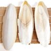 Dried Cuttle Fish Bone Exporters, Wholesaler & Manufacturer | Globaltradeplaza.com