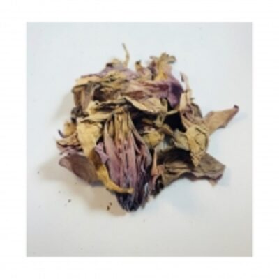 Dried Lotus Petal Flower Exporters, Wholesaler & Manufacturer | Globaltradeplaza.com