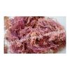 Purple Sea Moss Organic Exporters, Wholesaler & Manufacturer | Globaltradeplaza.com