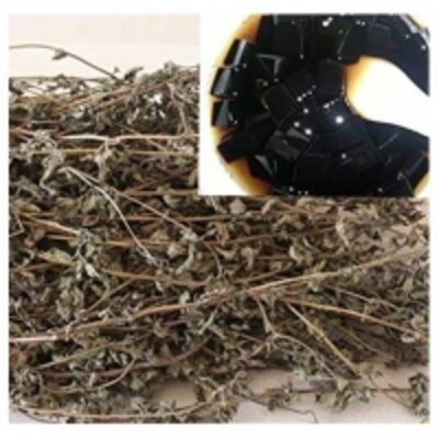Dried Black Grass Jelly Exporters, Wholesaler & Manufacturer | Globaltradeplaza.com