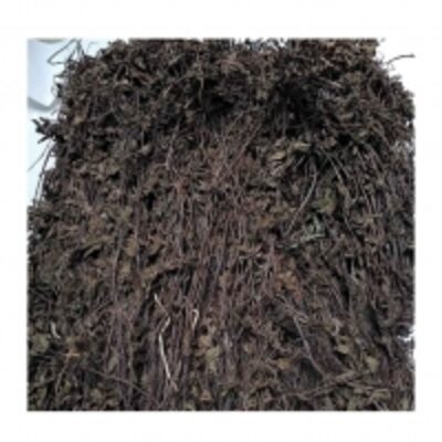 Mesona Chinensis/dried Grass Jelly Exporters, Wholesaler & Manufacturer | Globaltradeplaza.com