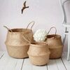 Seagrass Belly Basket Plant Pot Exporters, Wholesaler & Manufacturer | Globaltradeplaza.com