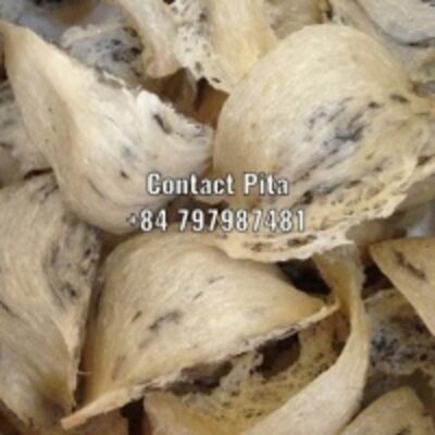 Raw Birds Nest Exporters, Wholesaler & Manufacturer | Globaltradeplaza.com