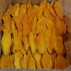 Mango Slices Exporters, Wholesaler & Manufacturer | Globaltradeplaza.com