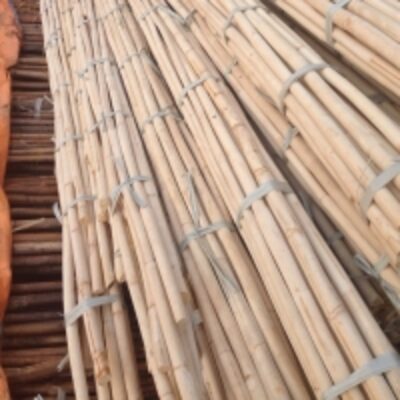 Vietnam Manau Rattan Pole (Verda) Exporters, Wholesaler & Manufacturer | Globaltradeplaza.com