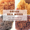 Sea Moss / Seaweed Exporters, Wholesaler & Manufacturer | Globaltradeplaza.com