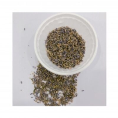 Natural Organic Lavender Tea Exporters, Wholesaler & Manufacturer | Globaltradeplaza.com