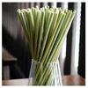 Natural Grass Drinking Straw Exporters, Wholesaler & Manufacturer | Globaltradeplaza.com