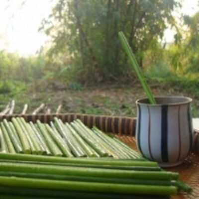 Drinking Grass Straw Eco Friendly Exporters, Wholesaler & Manufacturer | Globaltradeplaza.com