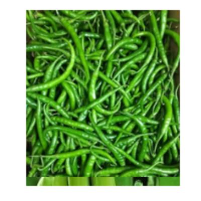 resources of Green Chilli G4 exporters