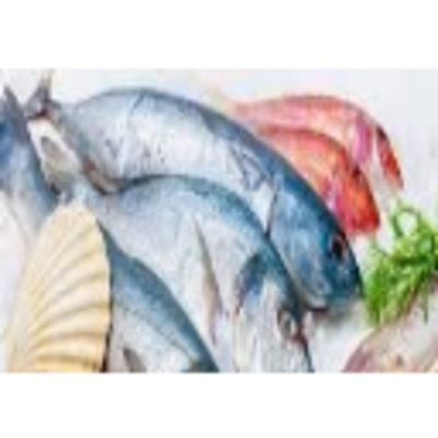 resources of Sea Food exporters