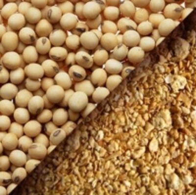 resources of Soybean Meal exporters