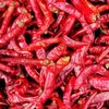 Dry Red Chilly Exporters, Wholesaler & Manufacturer | Globaltradeplaza.com
