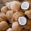 Semi Husked Coconut Exporters, Wholesaler & Manufacturer | Globaltradeplaza.com