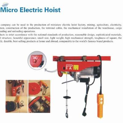 Micro Electric Hoist Exporters, Wholesaler & Manufacturer | Globaltradeplaza.com