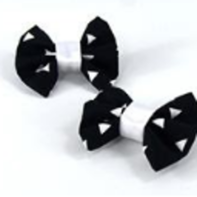 Hairclips Set Of Two Pieces 21 Exporters, Wholesaler & Manufacturer | Globaltradeplaza.com