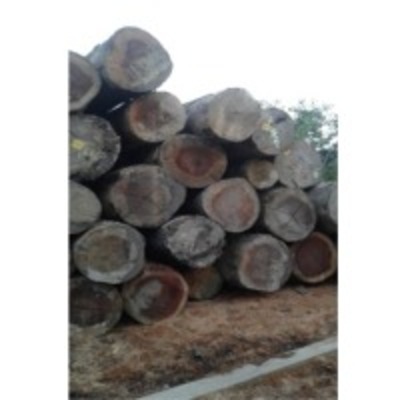 resources of Hardwood Logs exporters