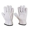 Grain Druivers Gloves Exporters, Wholesaler & Manufacturer | Globaltradeplaza.com