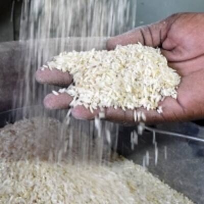 resources of White Long Grain Rice exporters