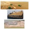 Silica Sand, River &amp; Sea Sand Exporters, Wholesaler & Manufacturer | Globaltradeplaza.com