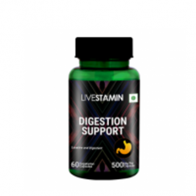 resources of Livestamin Digestion Support, 500 Mg exporters