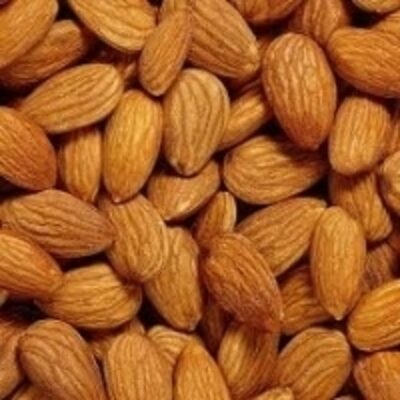 resources of Almond Nuts exporters