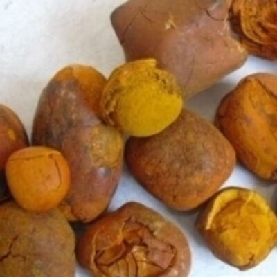 resources of 100% Quality Whole Gallstone exporters