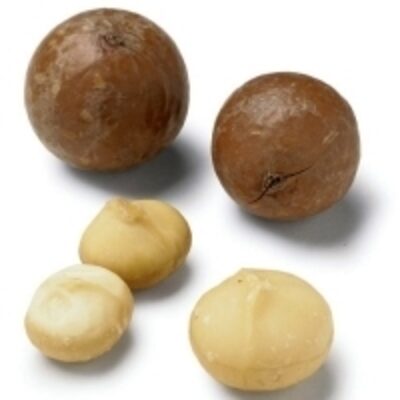 resources of Grade 1 Raw Macadamia Nuts exporters