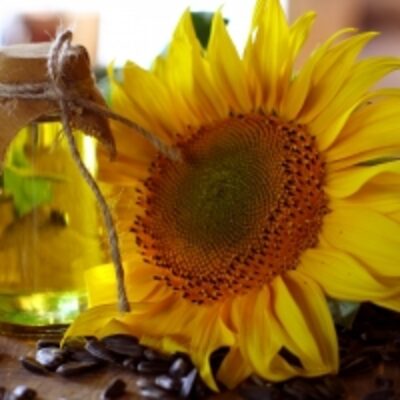 resources of Refined Sunflower Oil exporters