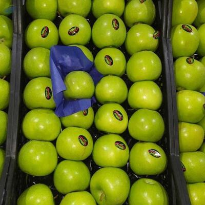 Granny Smith Apples, Green Apples Exporters, Wholesaler & Manufacturer | Globaltradeplaza.com