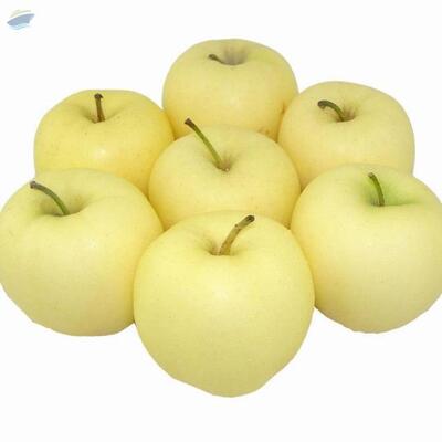 Golden Fresh Apple Fruit Exporters, Wholesaler & Manufacturer | Globaltradeplaza.com