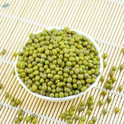 Green Mung Beans Exporters, Wholesaler & Manufacturer | Globaltradeplaza.com