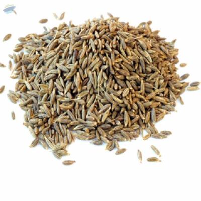 Indian Cumin Seeds Exporters, Wholesaler & Manufacturer | Globaltradeplaza.com