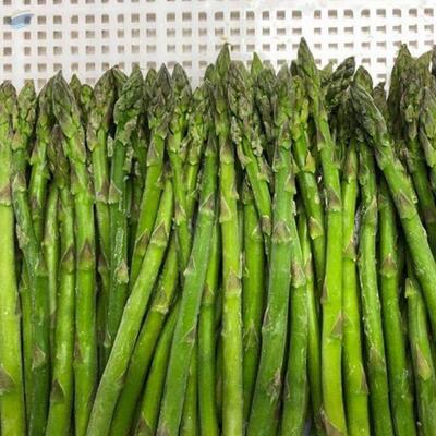 Green Asparagus Exporters, Wholesaler & Manufacturer | Globaltradeplaza.com