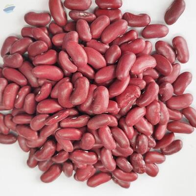 Red Kidney Beans Exporters, Wholesaler & Manufacturer | Globaltradeplaza.com