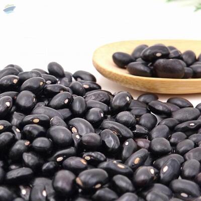 Black Kidney Beans Exporters, Wholesaler & Manufacturer | Globaltradeplaza.com