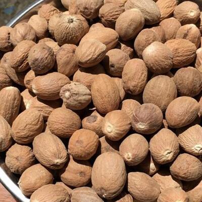 Dried Nutmeg Exporters, Wholesaler & Manufacturer | Globaltradeplaza.com
