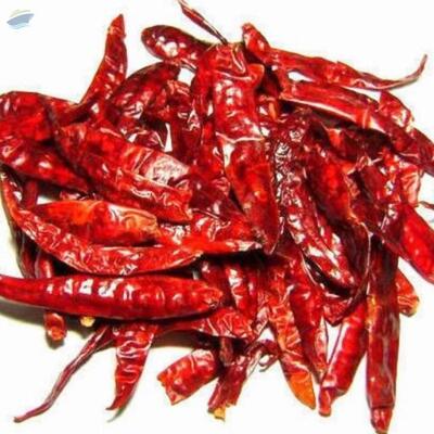 Dry Red Chilli Exporters, Wholesaler & Manufacturer | Globaltradeplaza.com