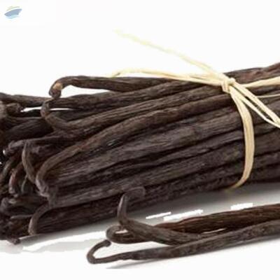 Vanilla Beans Exporters, Wholesaler & Manufacturer | Globaltradeplaza.com