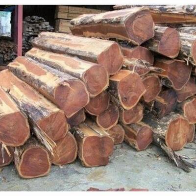 Teak Wood Timber Logs Exporters, Wholesaler & Manufacturer | Globaltradeplaza.com