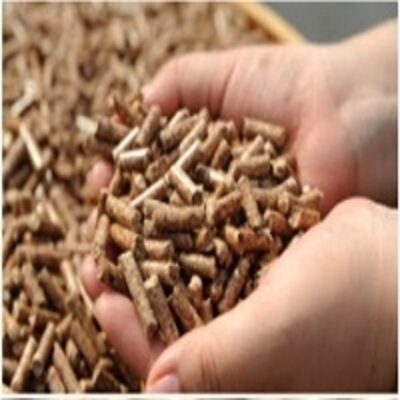 resources of Cost-Effective Wood Pellet exporters