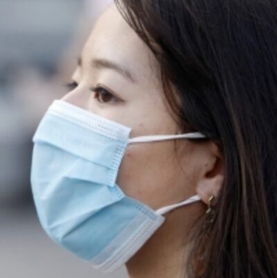 resources of 3 Ply Medical Non Surgical Masks exporters